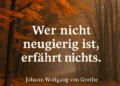 Herbstlicher Waldweg mit bunten Blättern und dem Zitat von Goethe: „Wer nicht neugierig ist, erfährt nichts.“