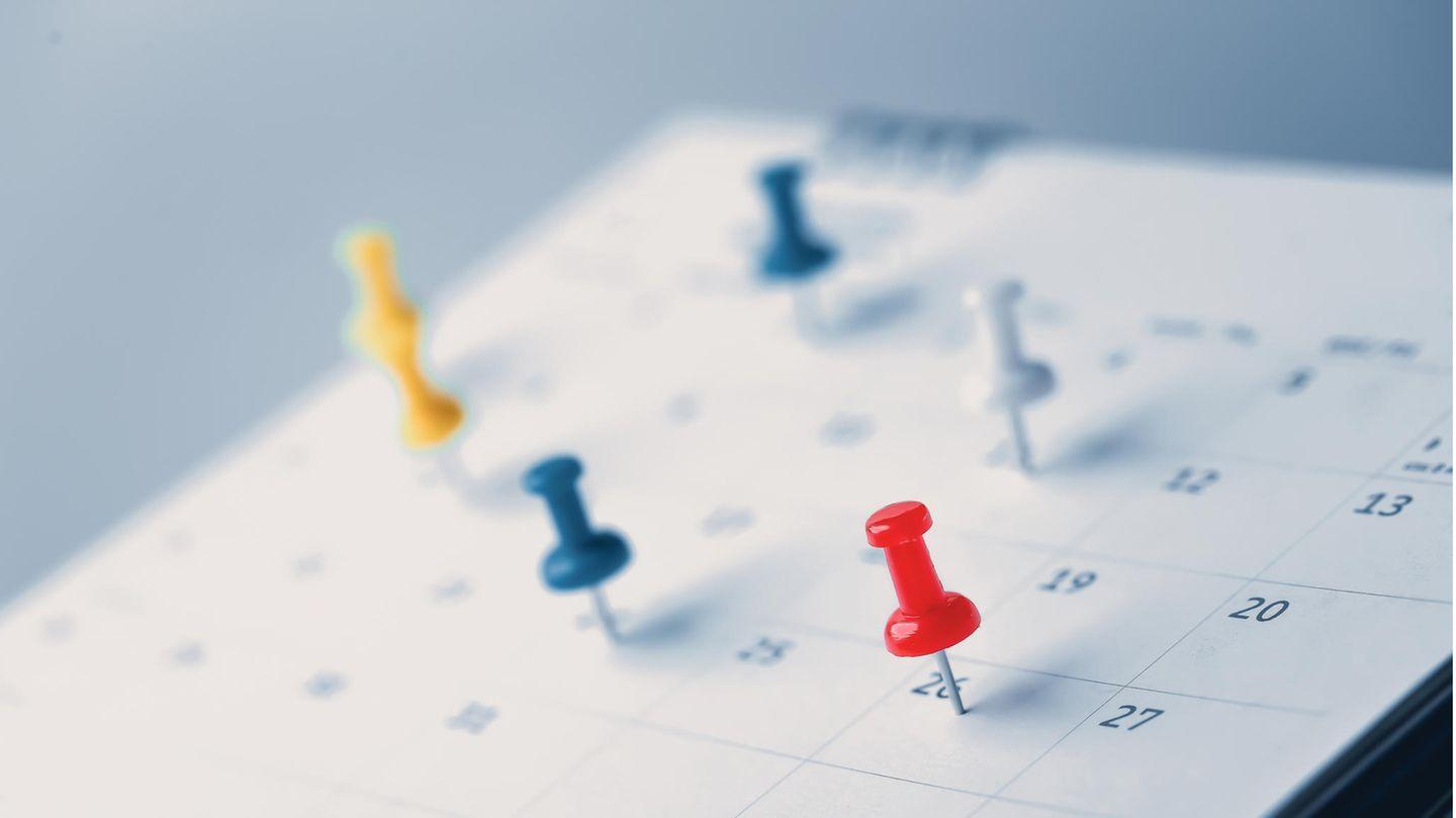 Kalender: Termingerecht planen: Wandkalender und Familienplaner: So behalten Sie (auch) 2026 den Überblick