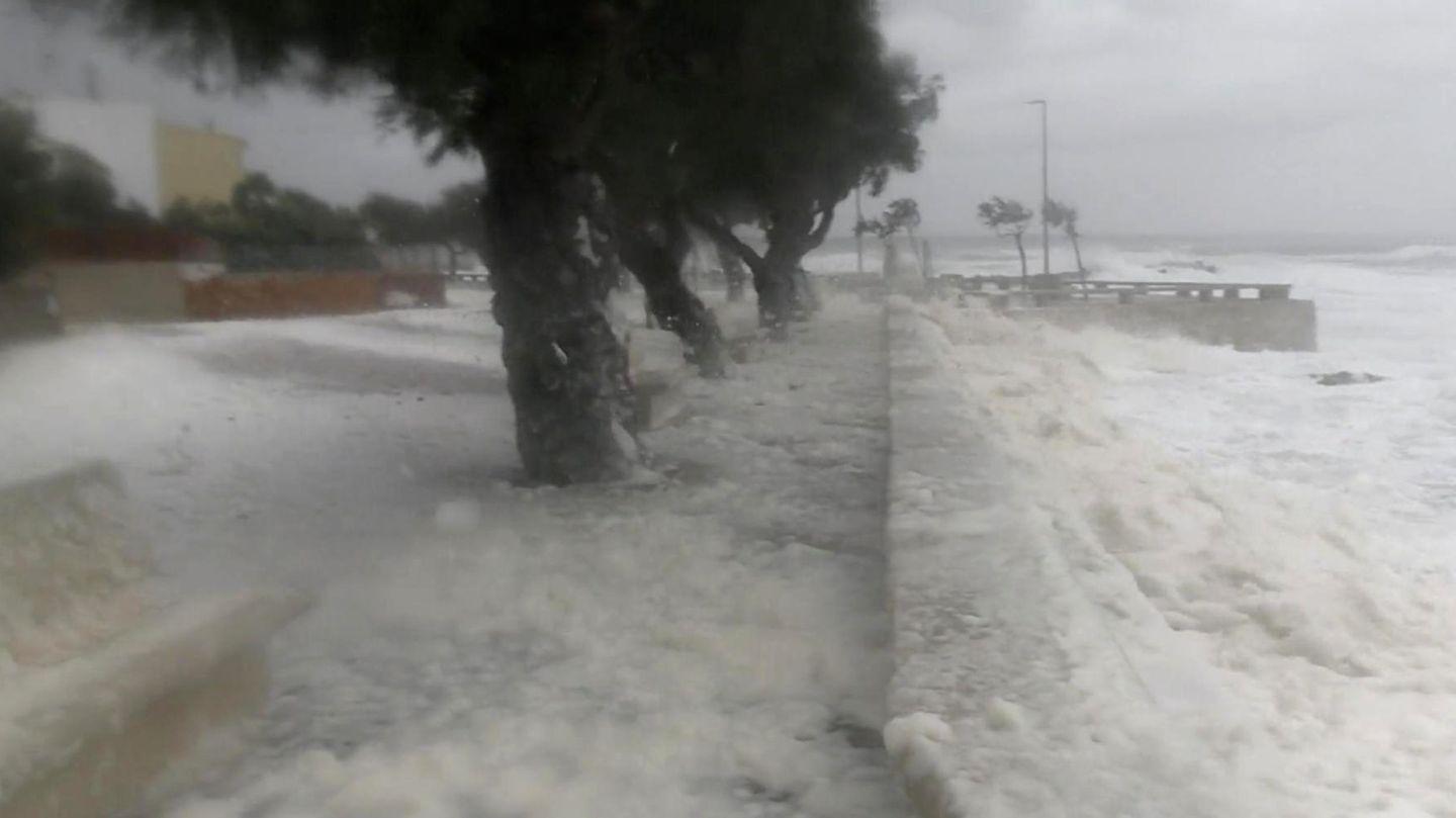 Mallorca: Riesige Wellen: Sturmtief "Harry" sorgt für starke Verwüstung auf Mallorca