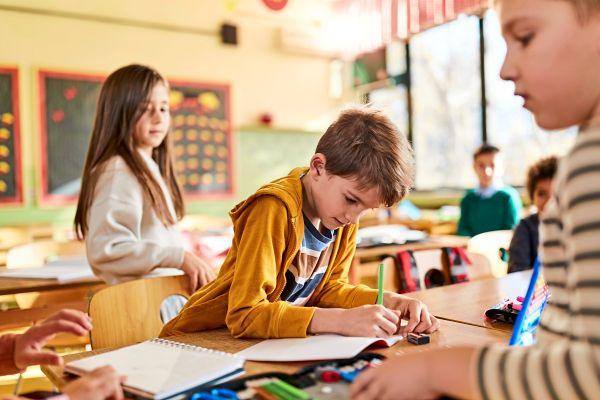 Övp: Die ÖVP erarbeitet ein Bildungsprogramm.