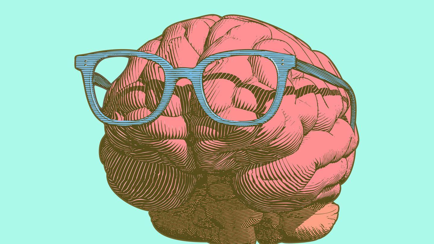 Quiz: Wissenstest, Teil 12: Wie gut ist Ihr Allgemeinwissen? Dieses Quiz fordert Sie heraus