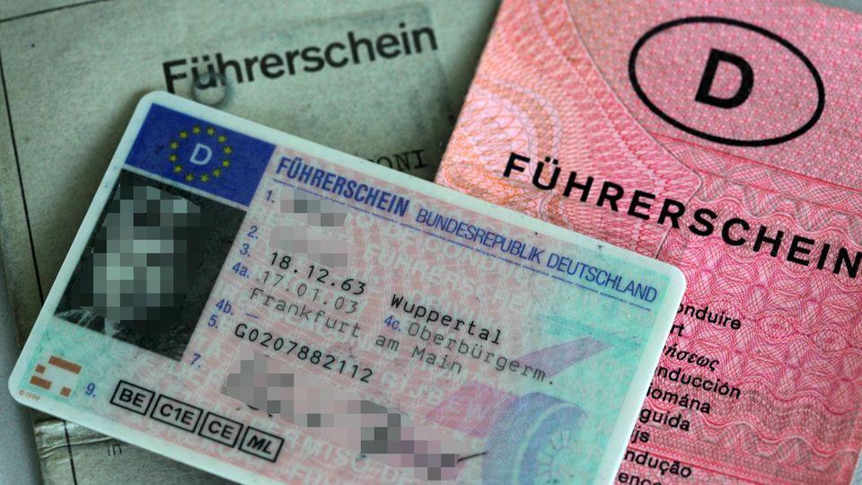 Verkehrsschild: rerscheinneulinge hatten erwartungsgemäß einen Wissensvorsprung.
