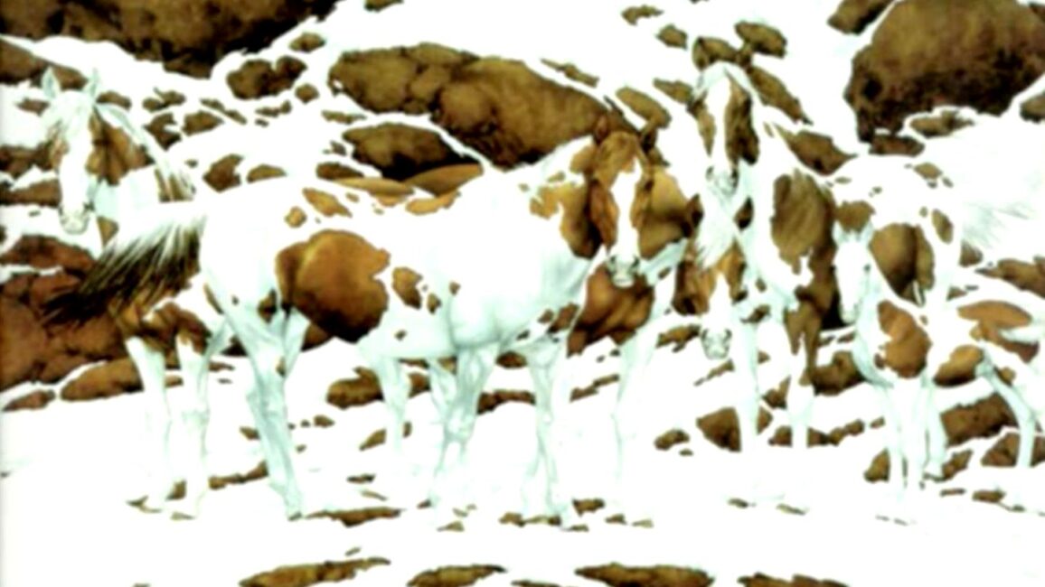 Augentest: Schaffen Sie es, alle Pferde im Schnee zu entdecken?