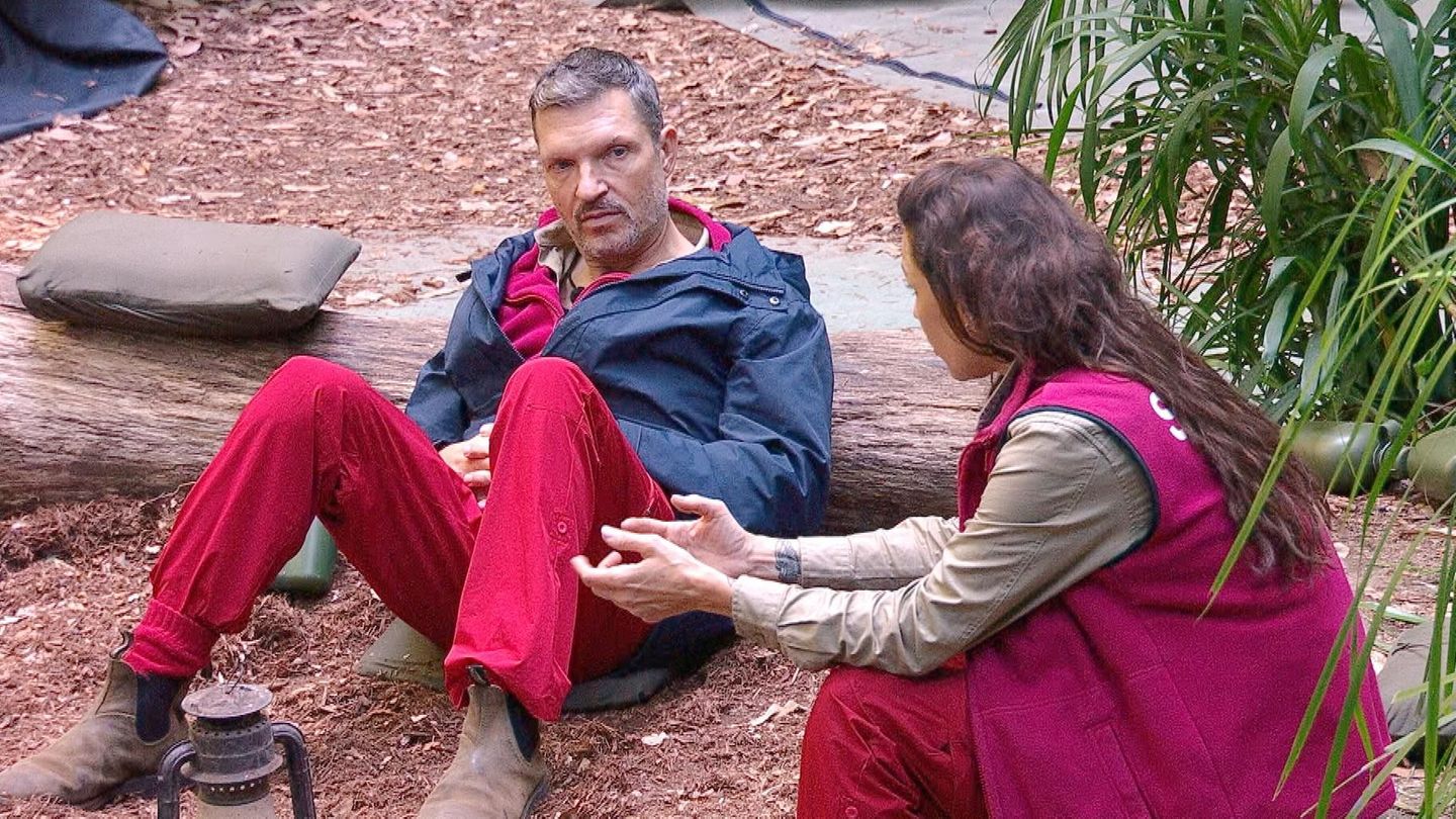 Hardy Krüger Dschungelcamp