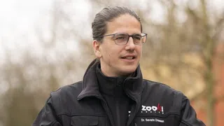 Lesetipps vom Zoo-Direktor – «Mein kuriosester Leseort: ein Pferderücken»