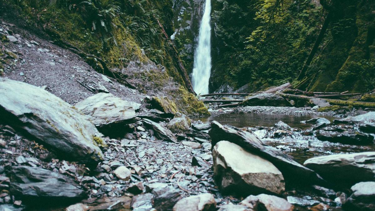 Allgemeinwissen Quiz