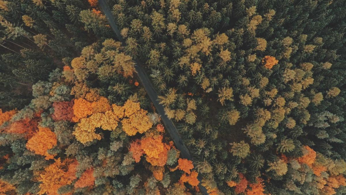 Amnestiegesetz Venezuela