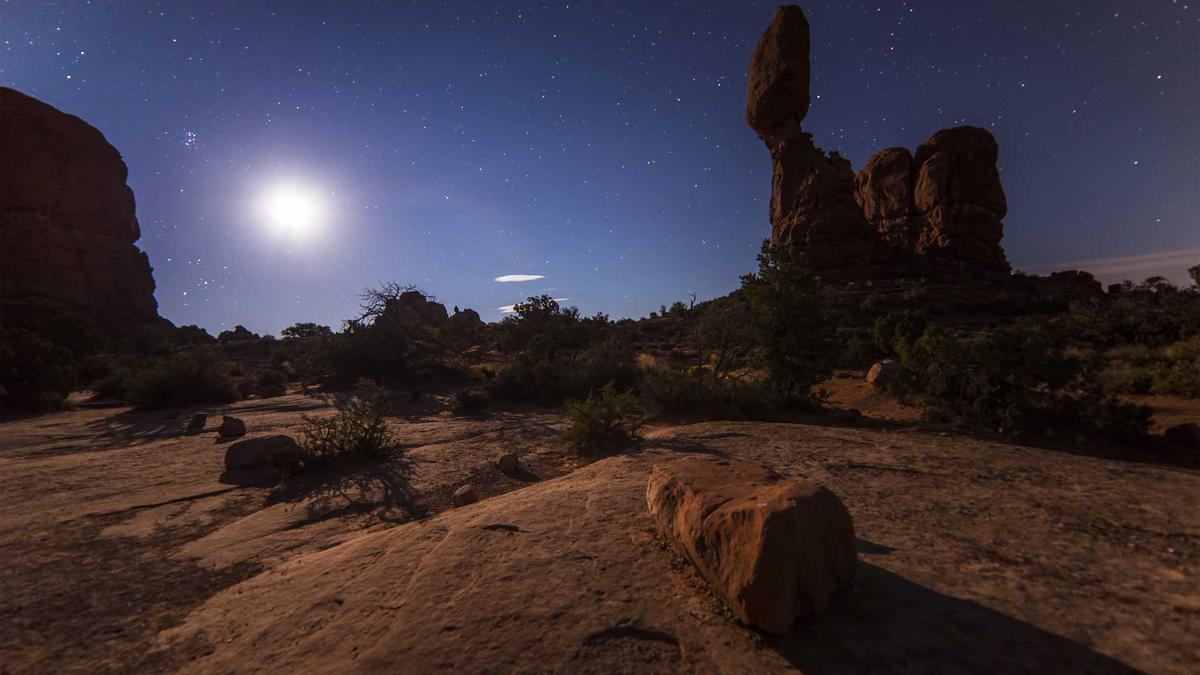 Aurel Mertz Manosphere