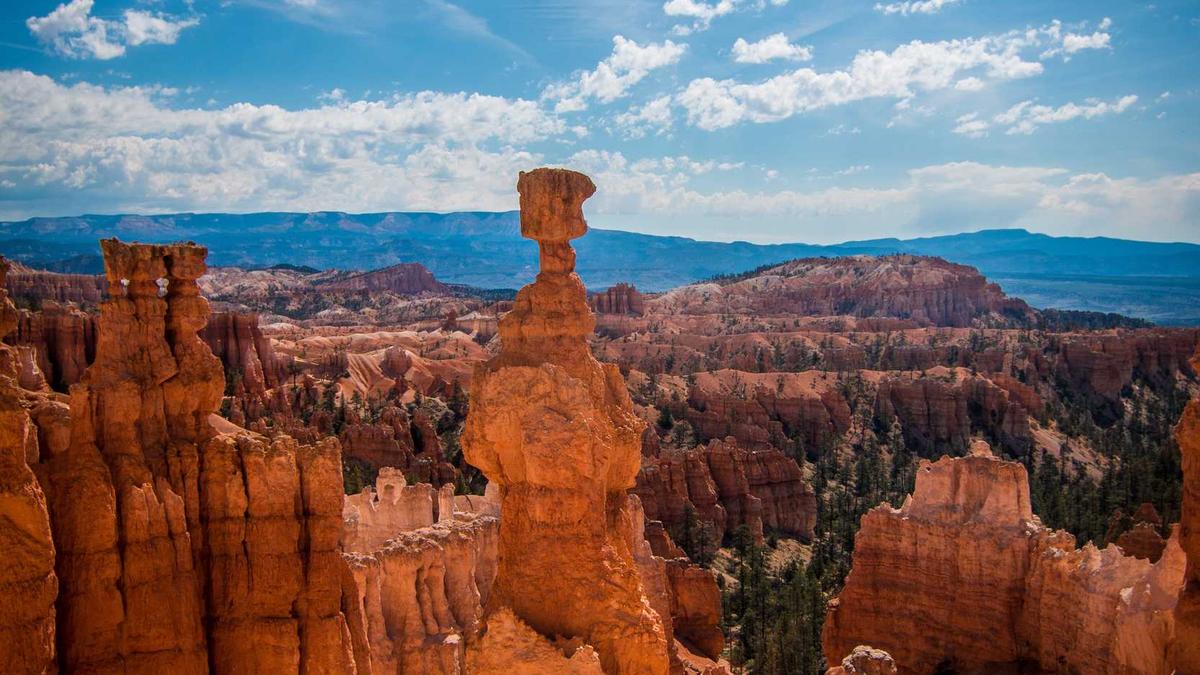 Babynahrung Rückruf