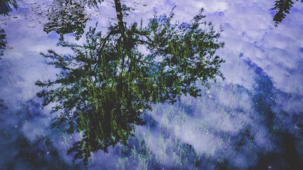 Daniel Aminati Trennung