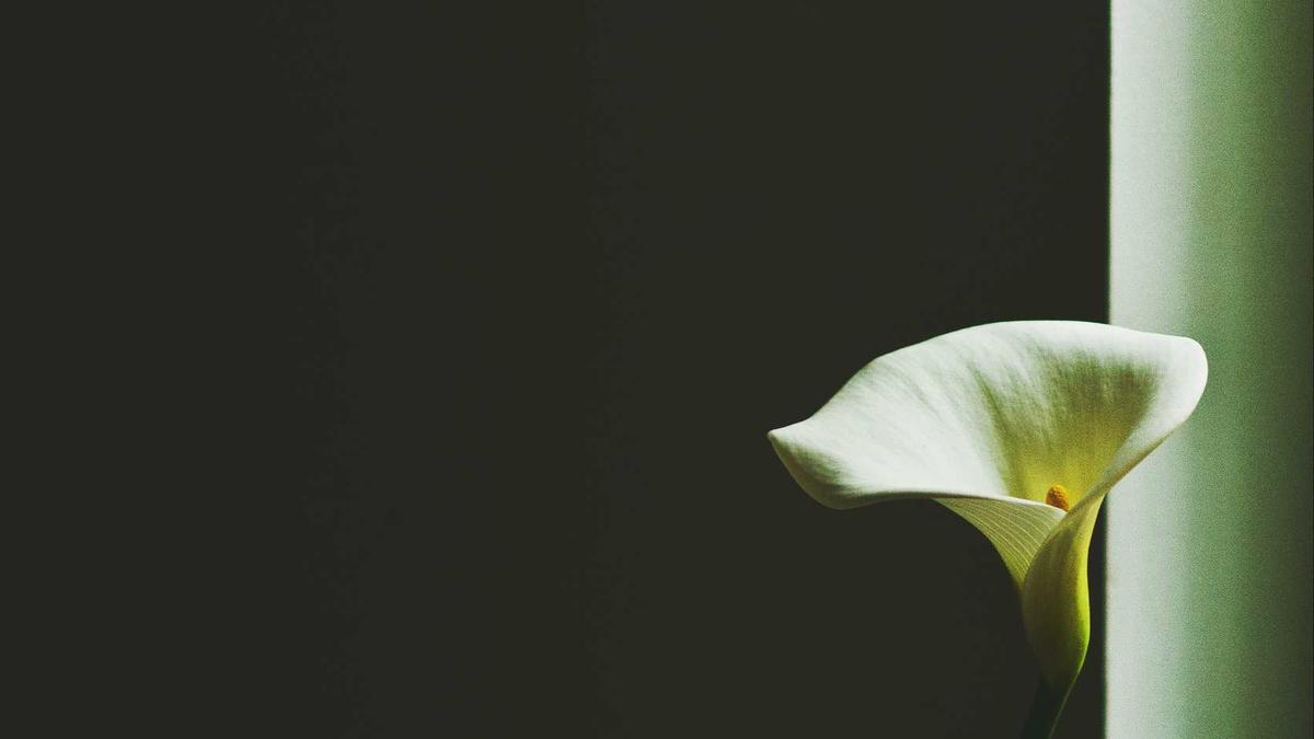 Eheschließungen Deutschland