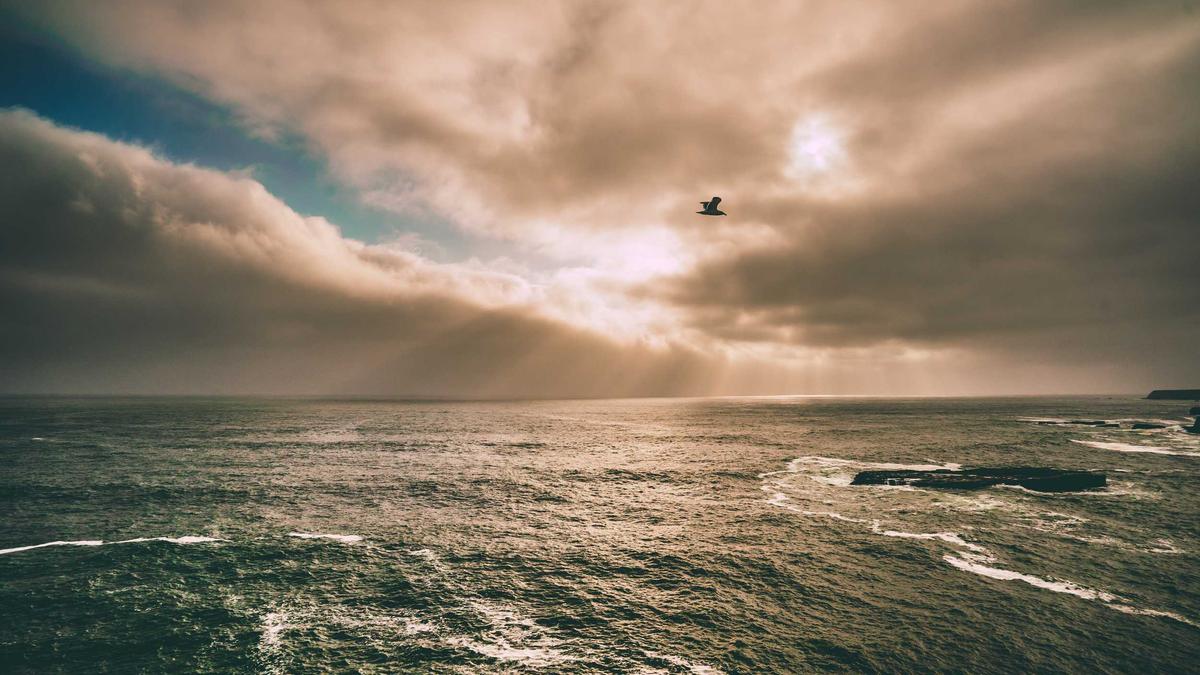 Eu Gelder Le Pen Eu Gelder Le Pen