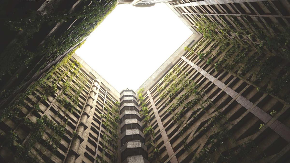 Gina Torres Einbruch