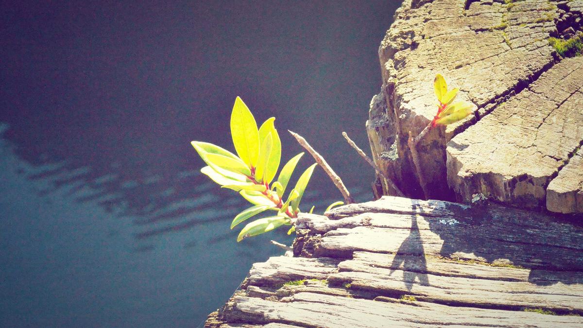 Glatteis Niedersachsen