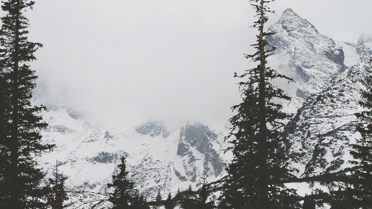 Indien Einfuhrzoll Indien Einfuhrzoll