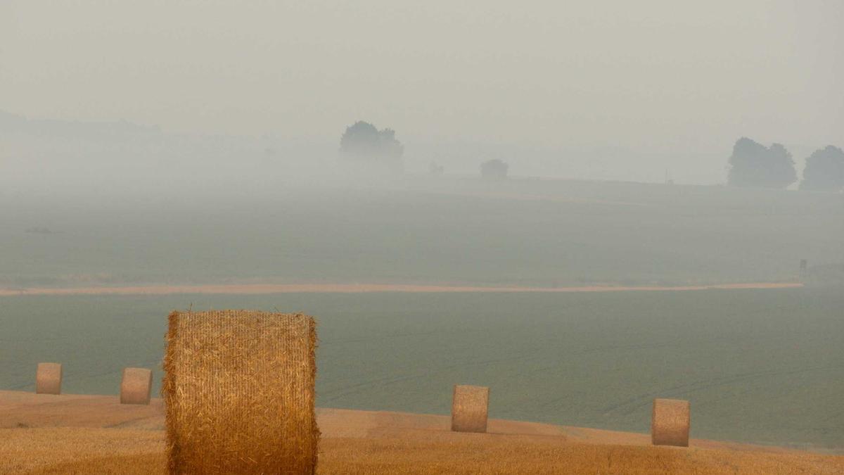 Jugendliebe Zweite Chance