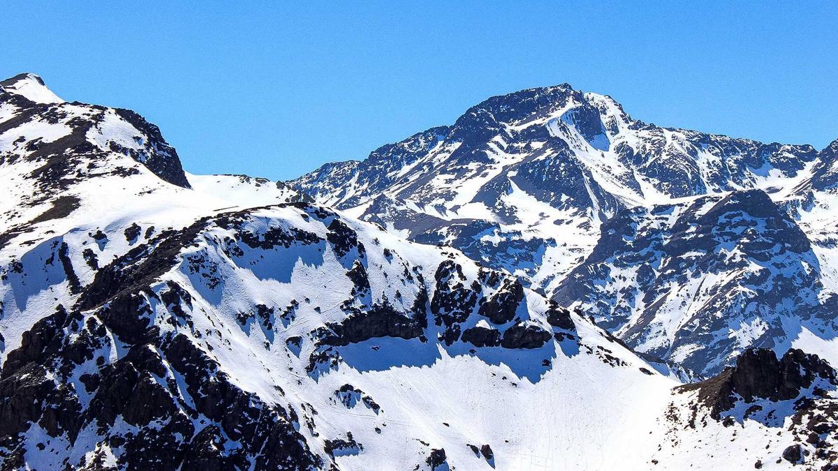 Kraniche Frühjahrszug