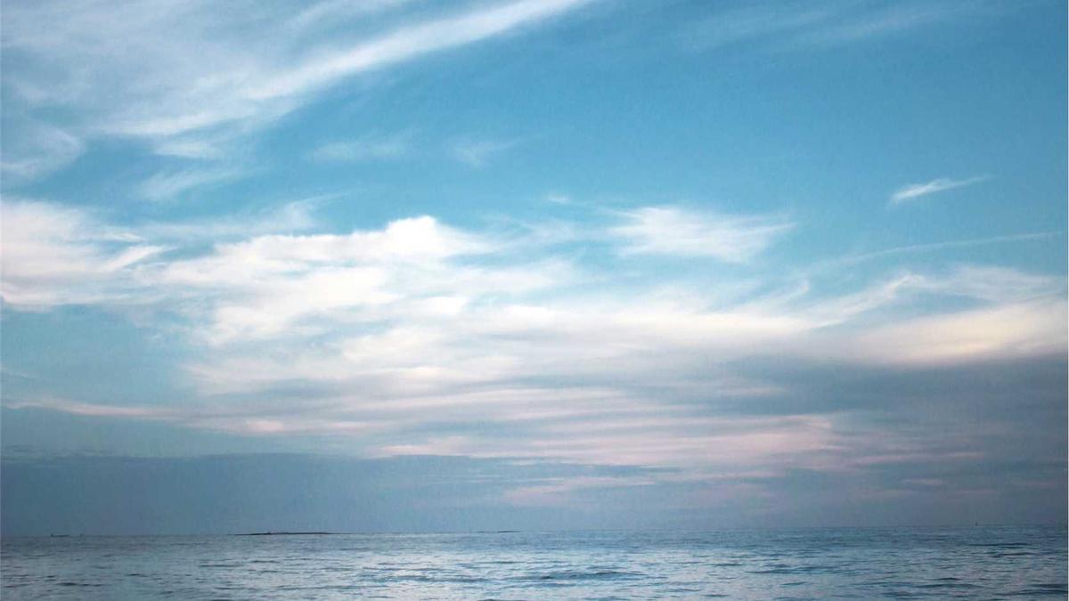 Pharmakonzerne Roche