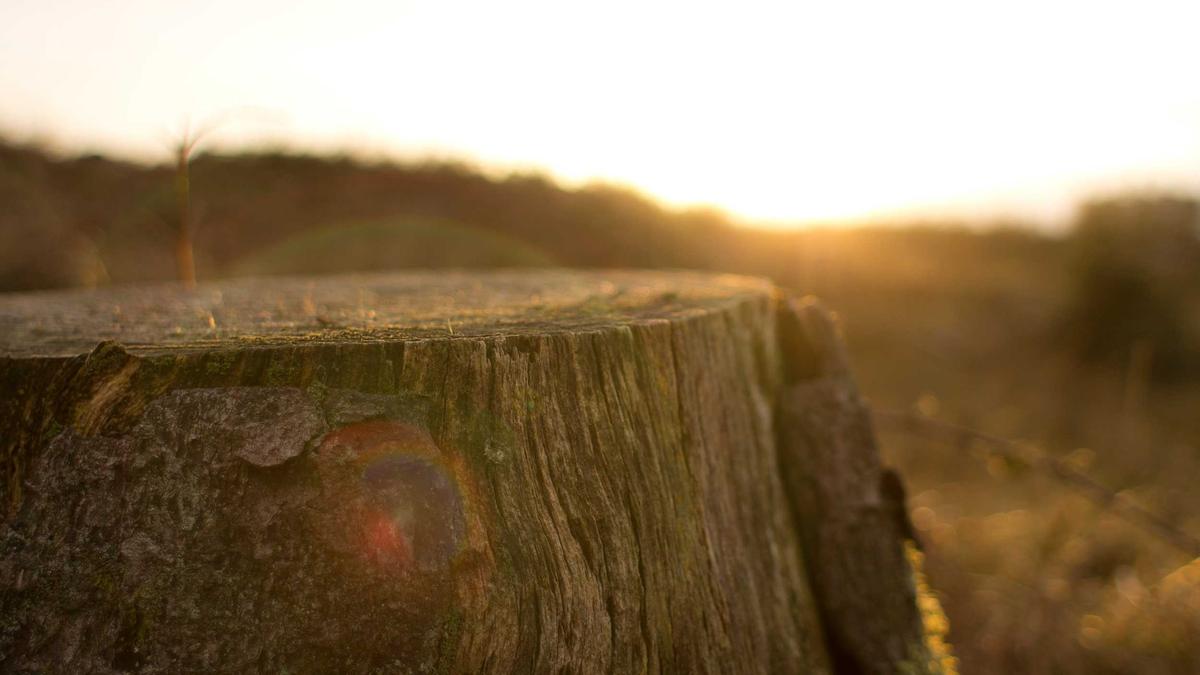 Russische Kriegsverbrechen