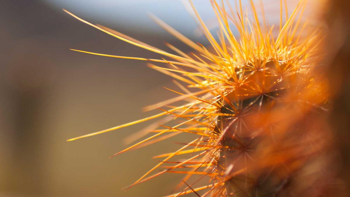 Seenot Australien Seenot Australien