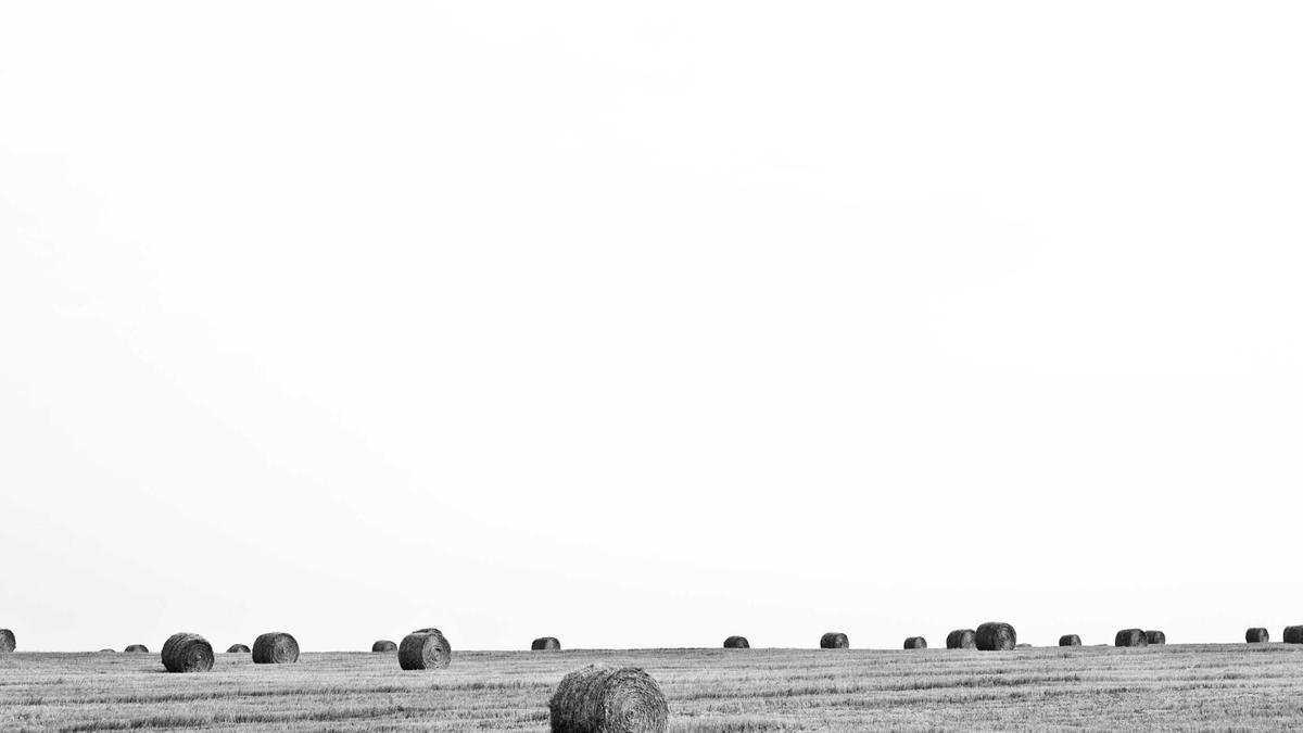 Steven Spielberg Egot