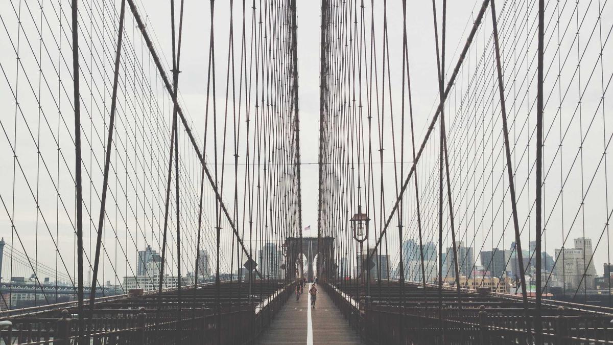 Suchbild Drachen Suchbild Drachen