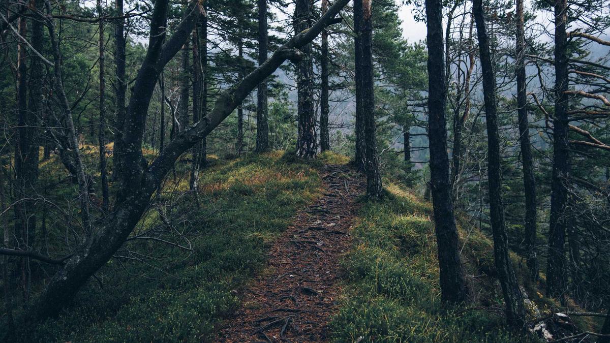 Trevi Brunnen Eintritt