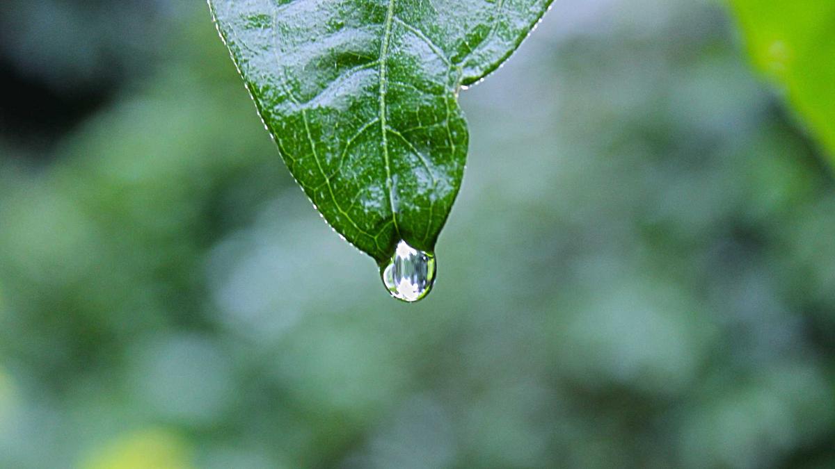 Wetterwarnung Deutschland