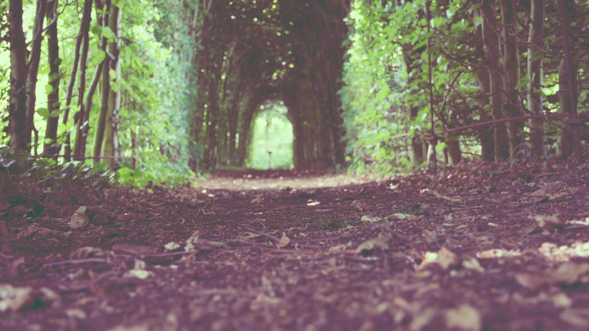 Zugbegleiter Tot Zugbegleiter Tot