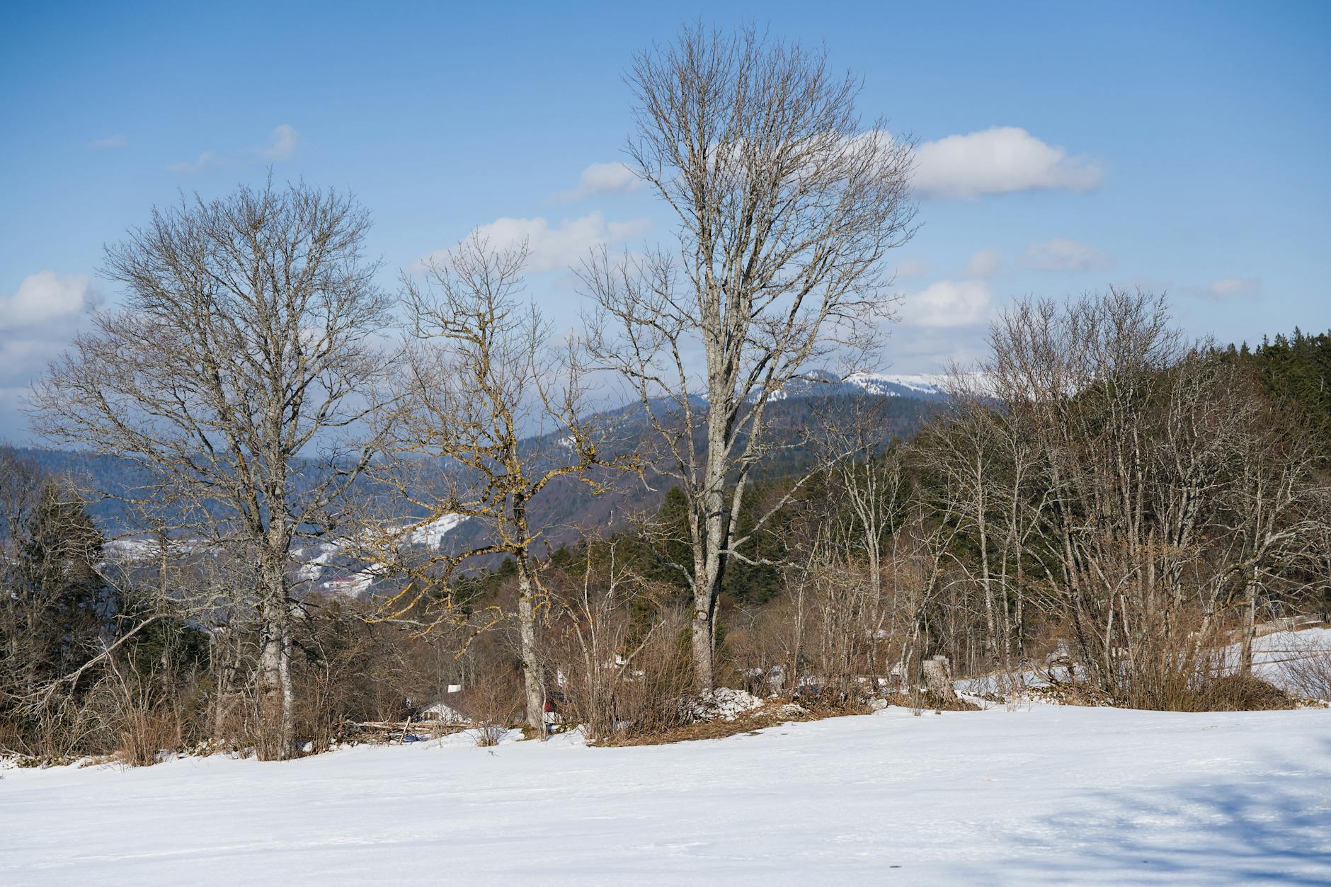 Detailansicht: Abstimmung Familienzulagen Solothurn