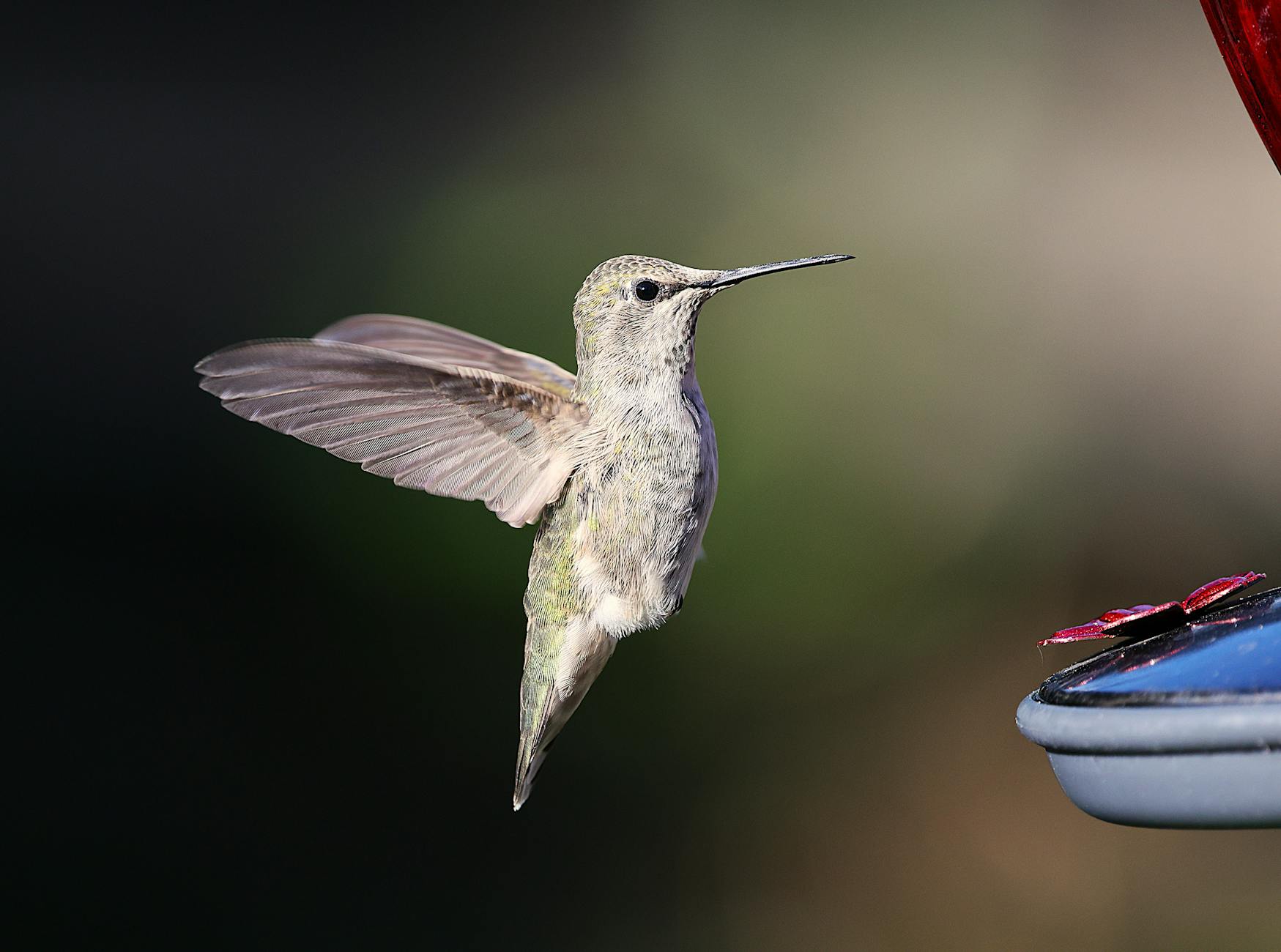 Anna Heiser Kritik Illustration zu Anna Heiser Kritik