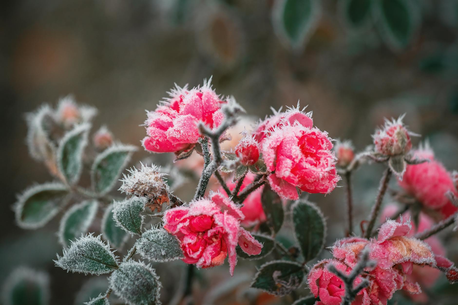 Anna P U-ausschuss Detailansicht: Anna P U-ausschuss