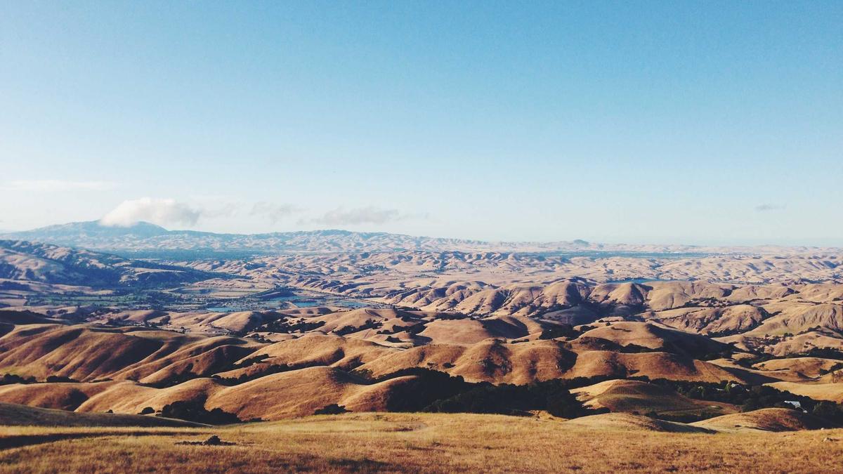 Illustration zu Atalanta – Dortmund