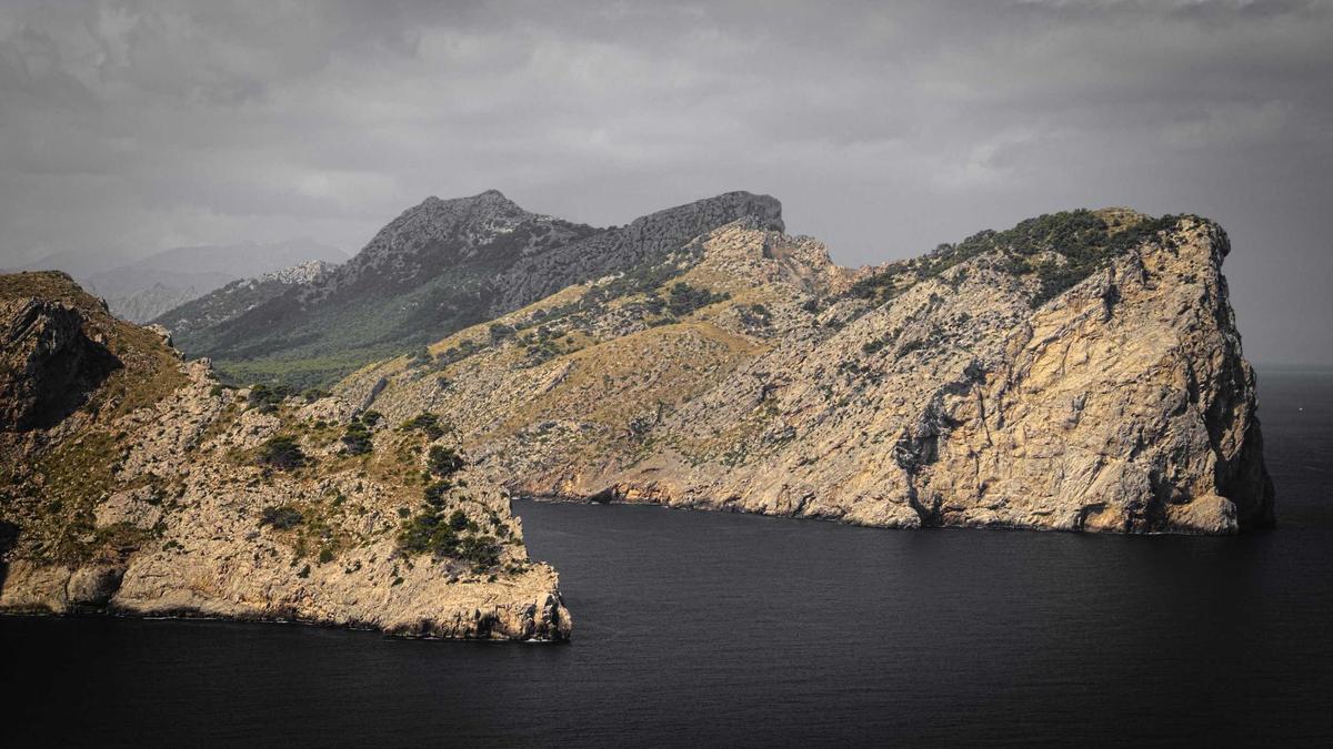 Detailansicht: Atalanta – Dortmund