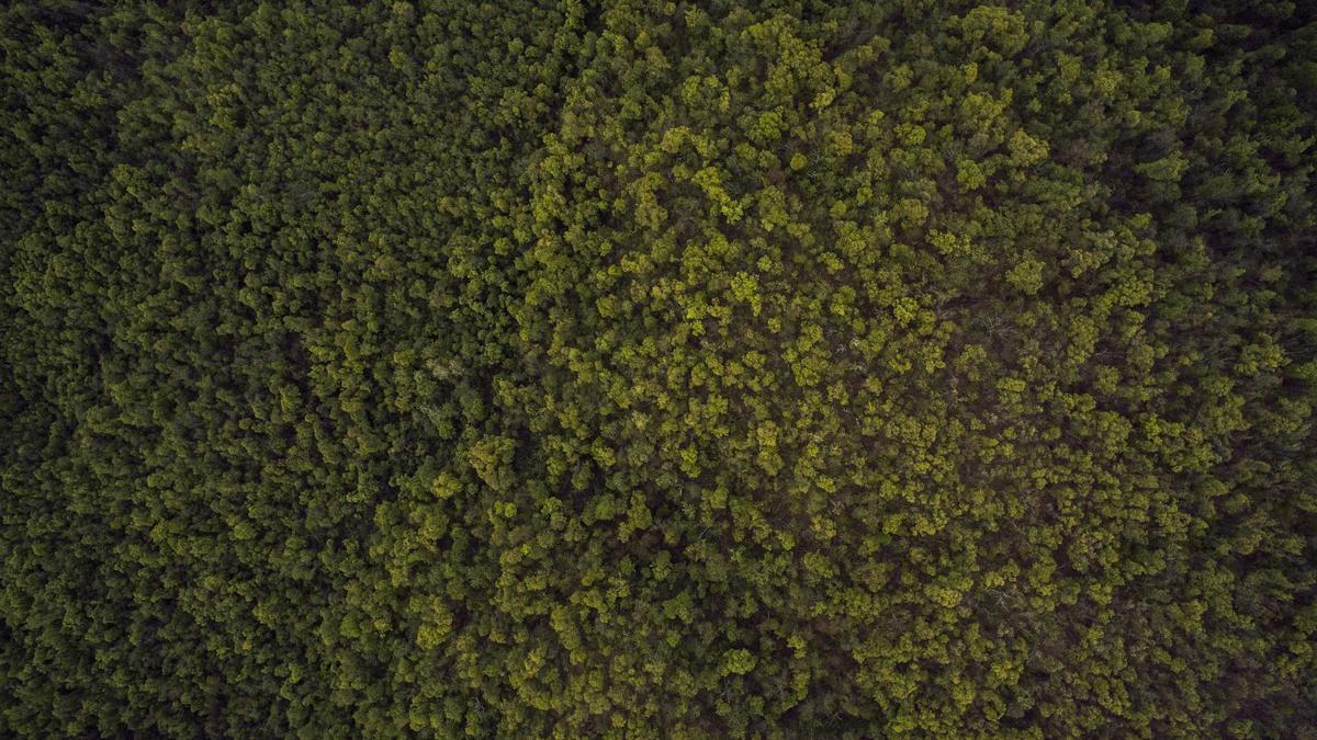 Illustration zu Atomverhandlungen Genf