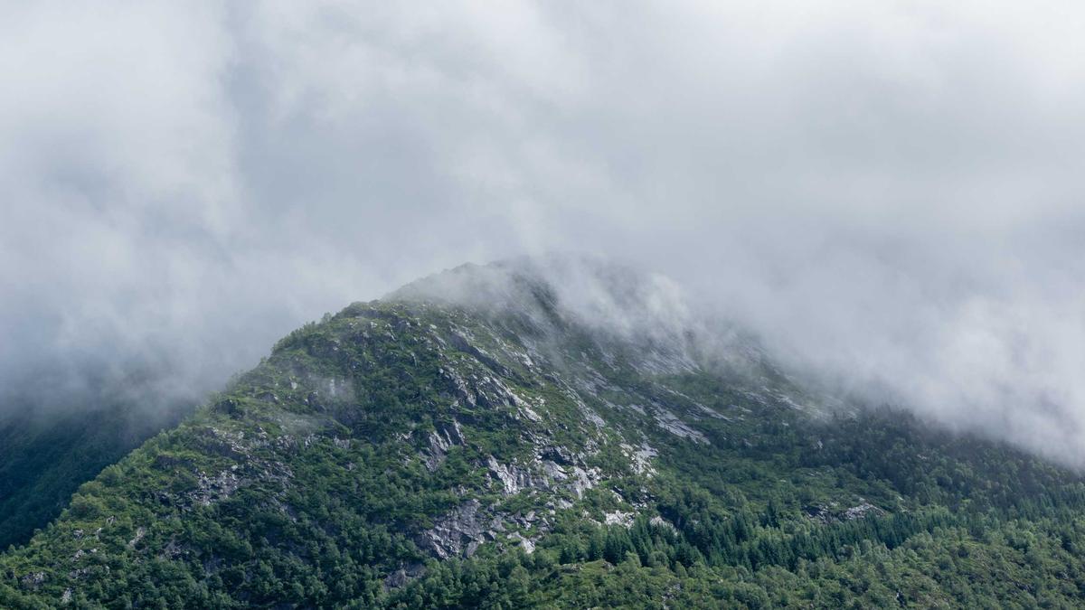 Detailansicht: AUDI RS5