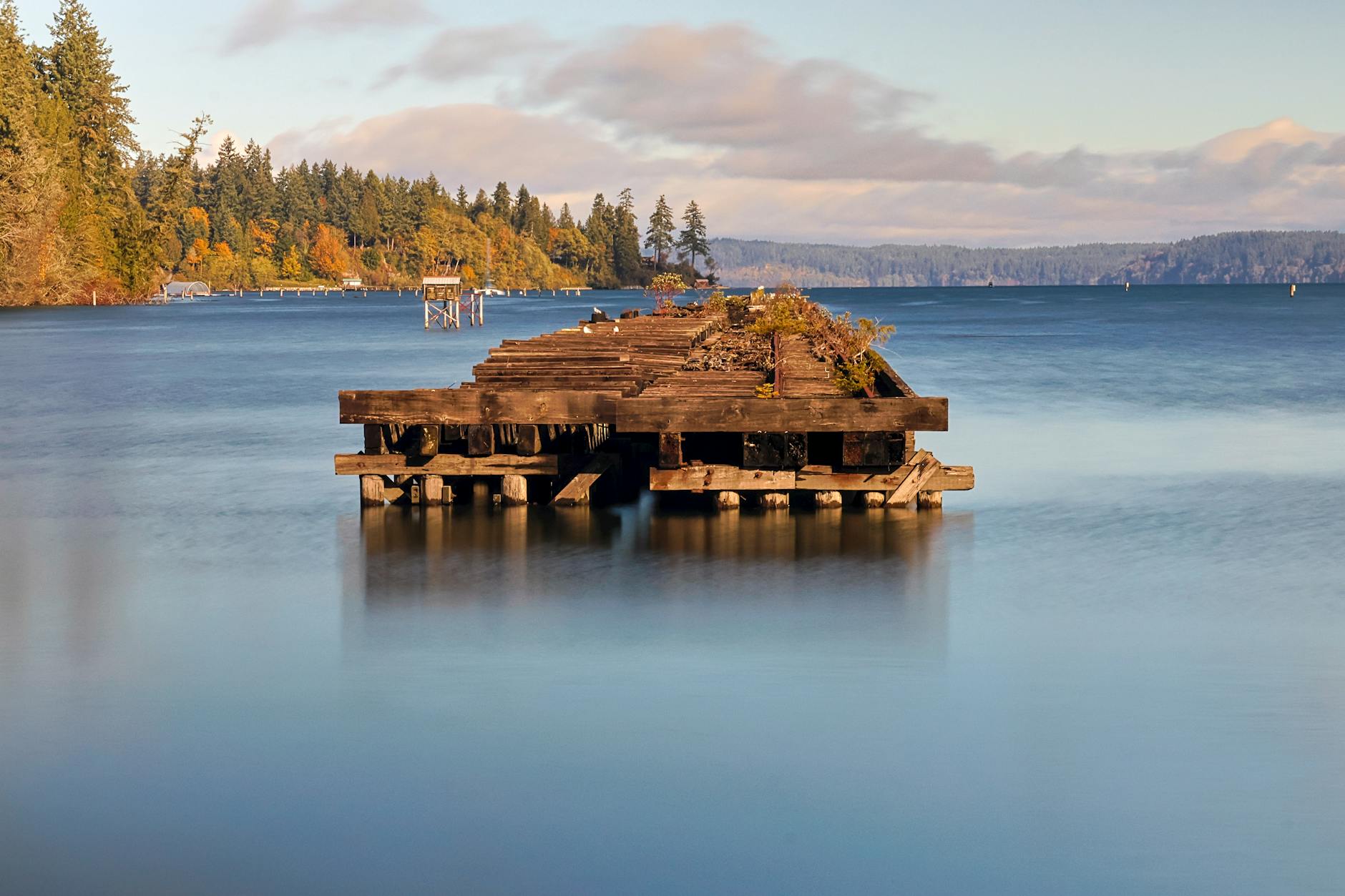 Illustration zu Biathlon Olympia