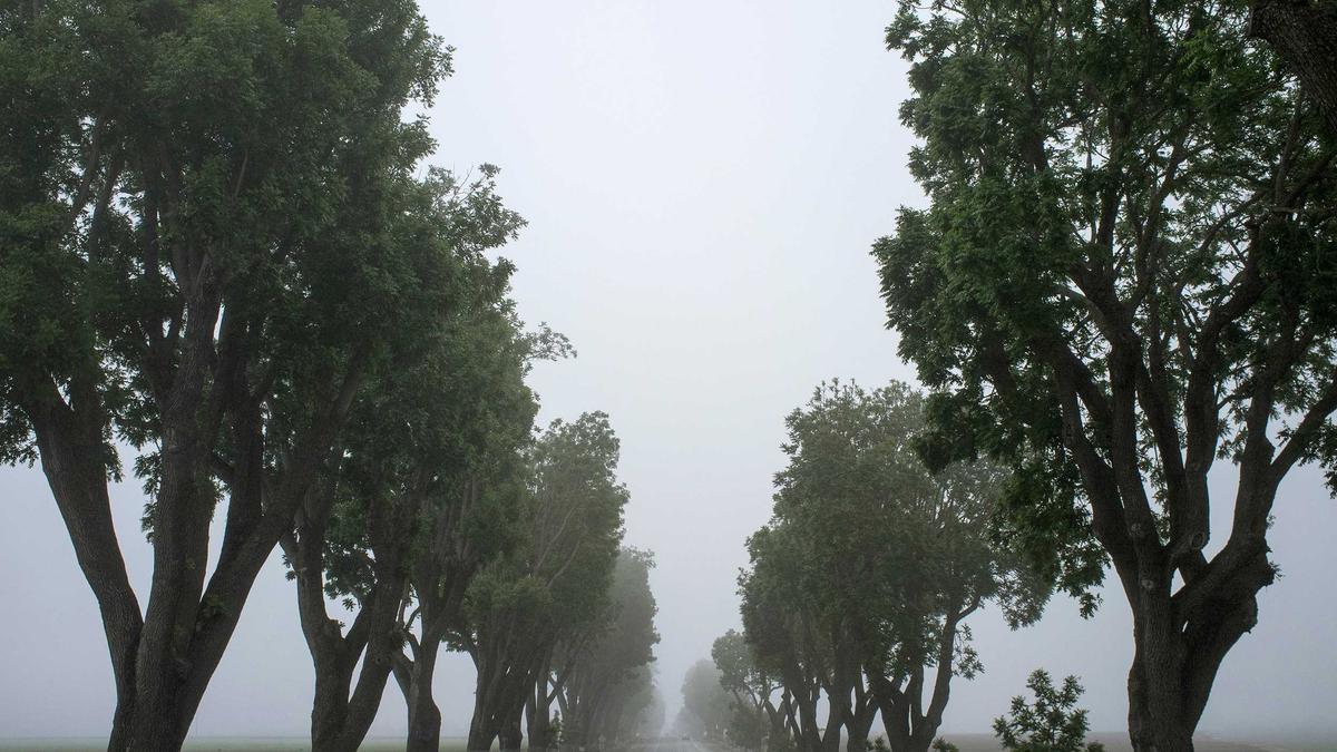 Symbolbild zum Thema Bundesvermögenssteuer