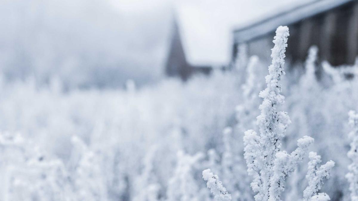 Illustration zu Catherine Ohara Gestorben