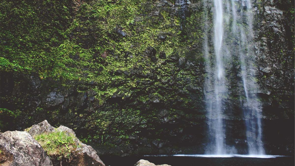 Champions League Auslosung Detailansicht: Champions League Auslosung