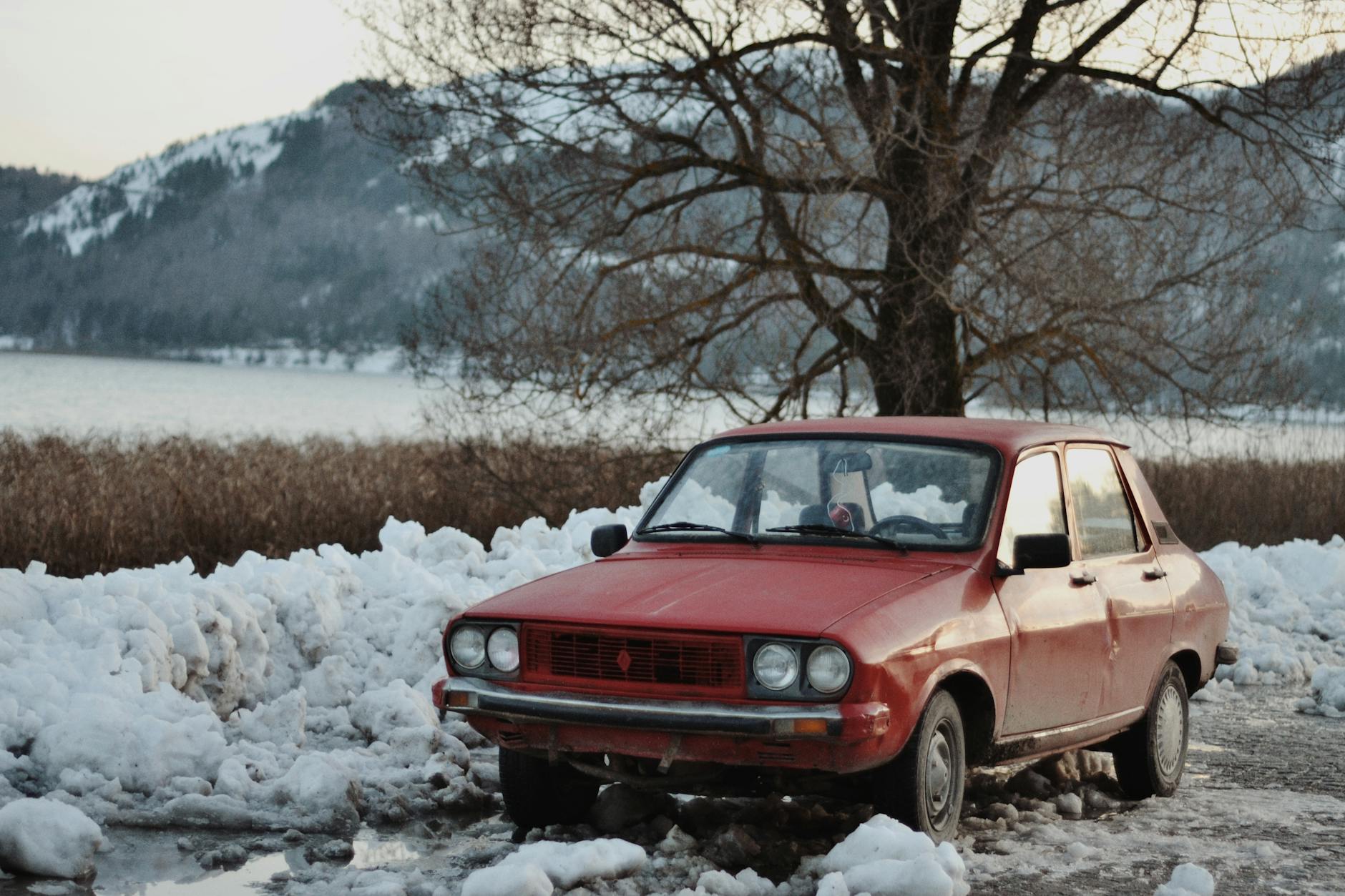 Detailansicht: Dacia
