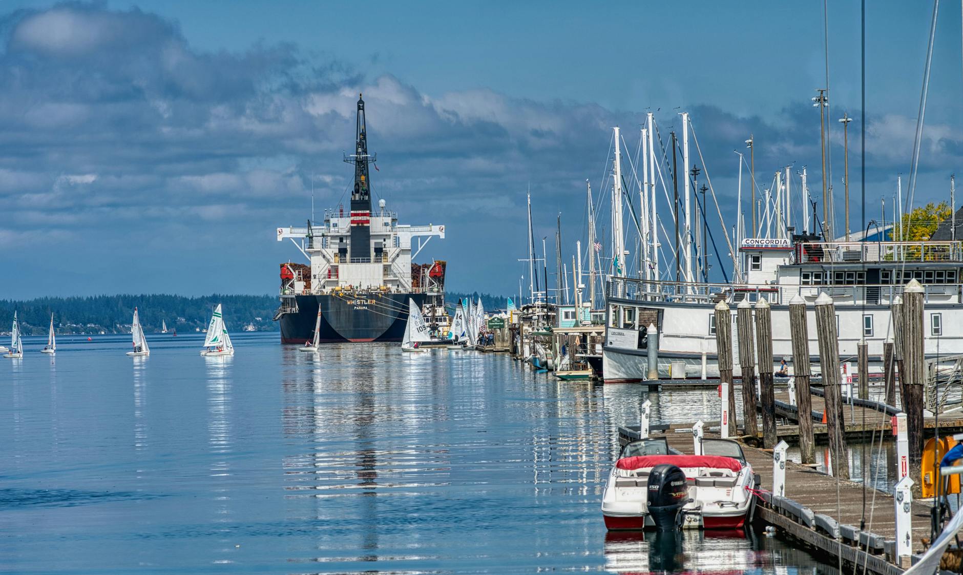 Detailansicht: Damen Kombi Olympia