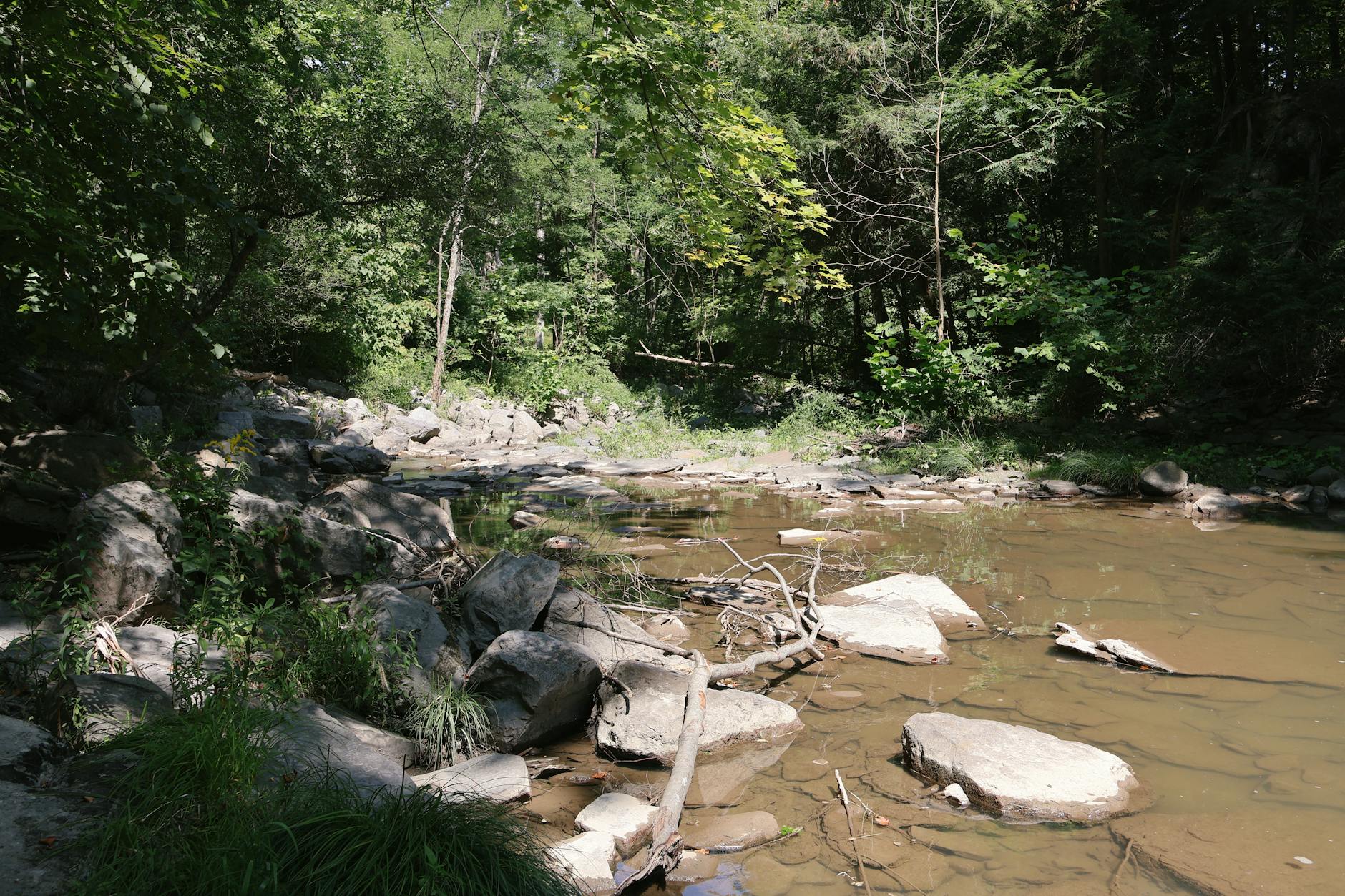 Illustration zu Dawsons Creek Schauspieler Tot