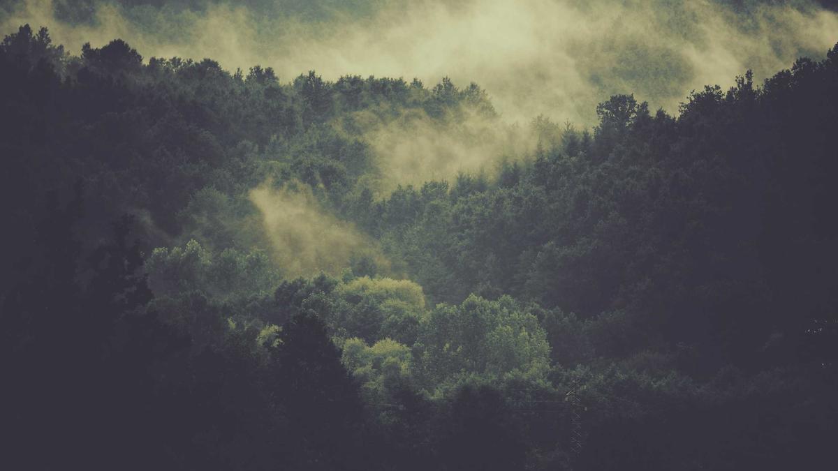 Illustration zu Deutschland Frankreich Eishockey