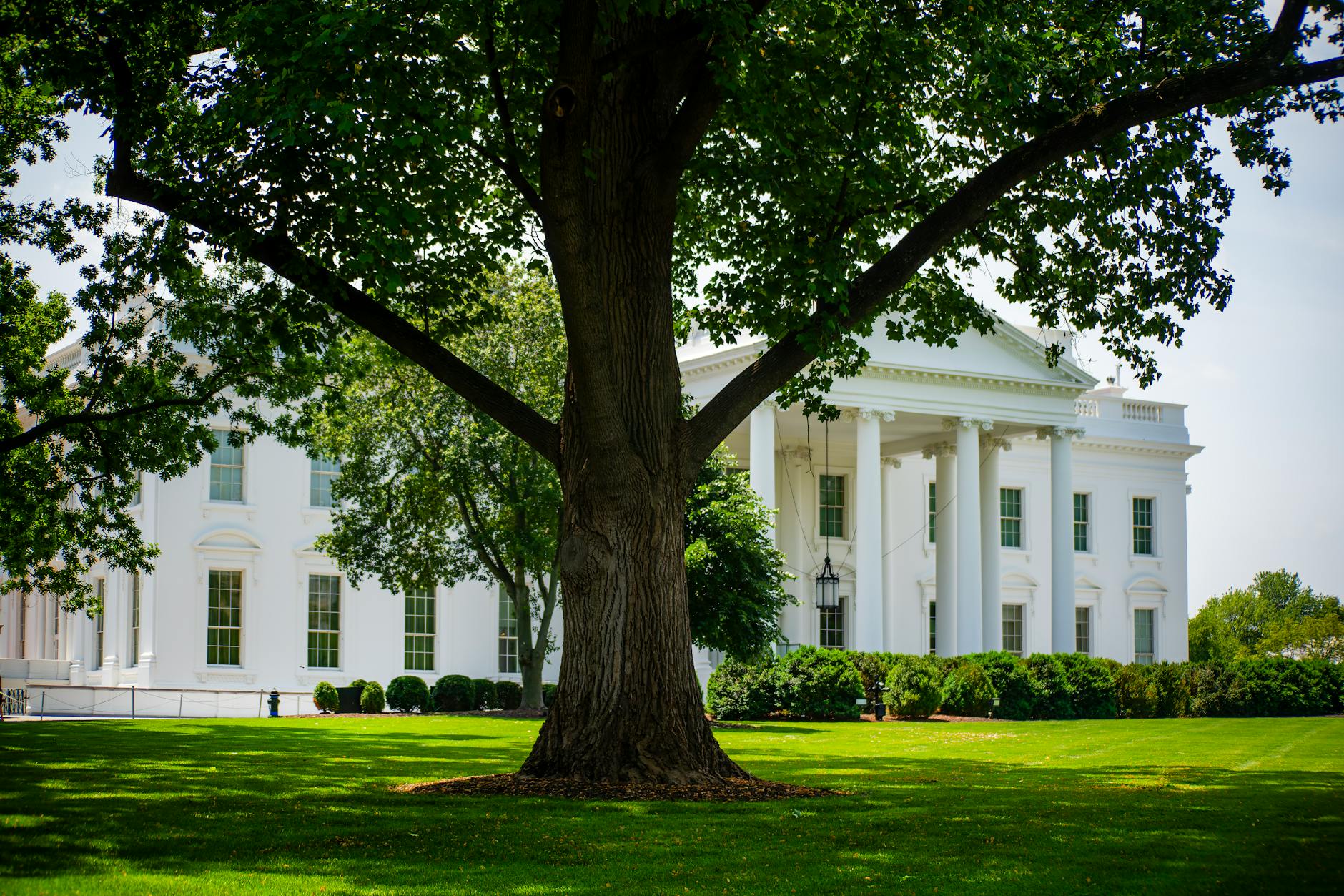 Illustration zu Donald Trump Halftime Show
