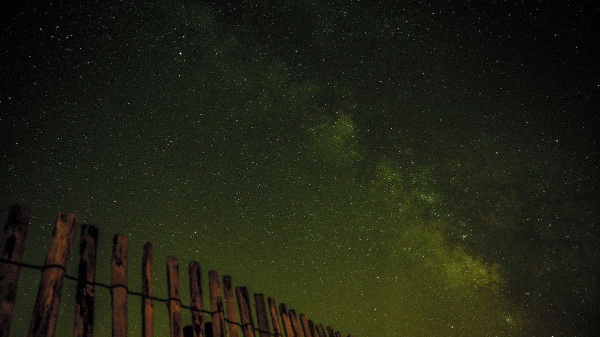 Detailansicht: Ee Zee Höhle Der Löwen