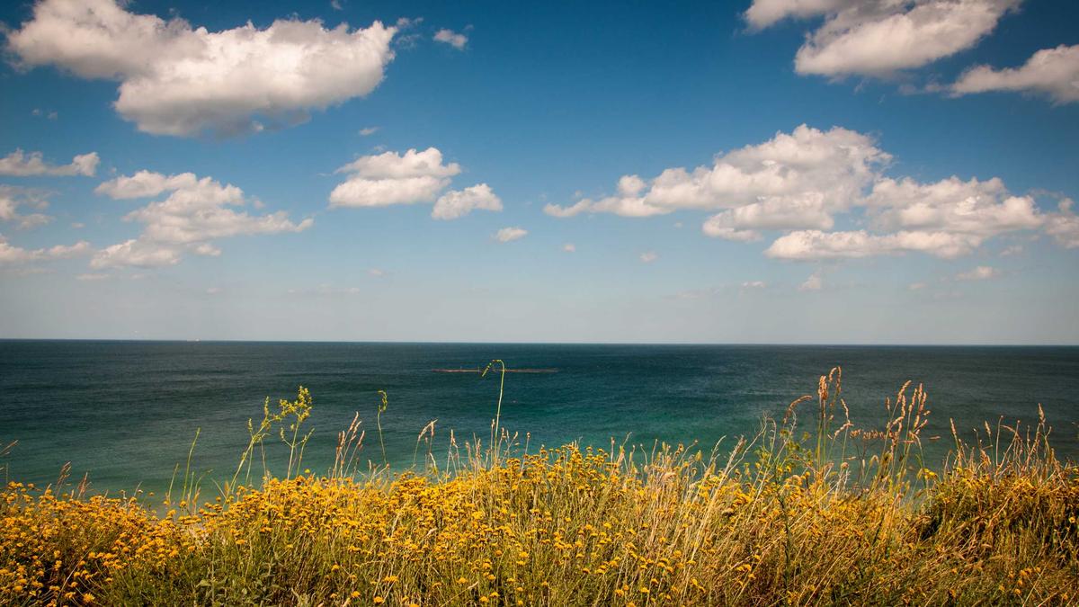 Detailansicht: Eisschnelllauf Massenstart