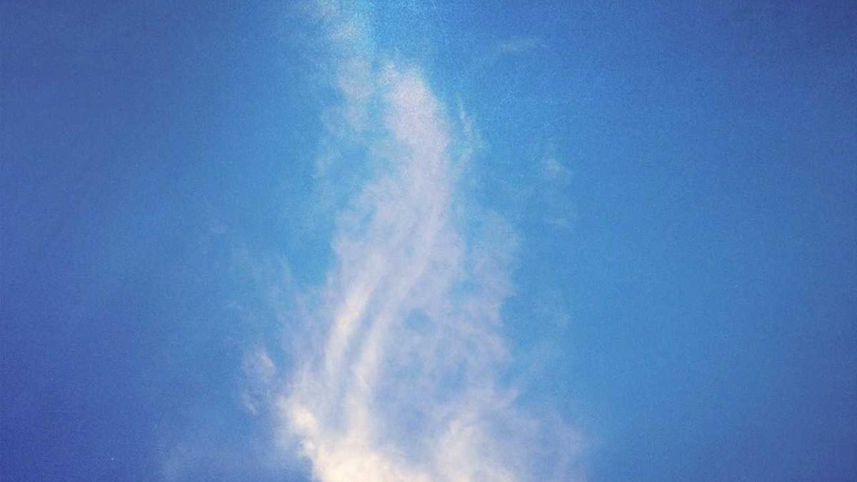 Illustration zu El Mencho