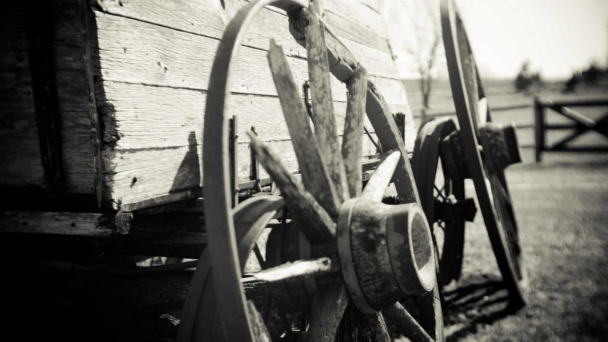 Detailansicht: El Mencho