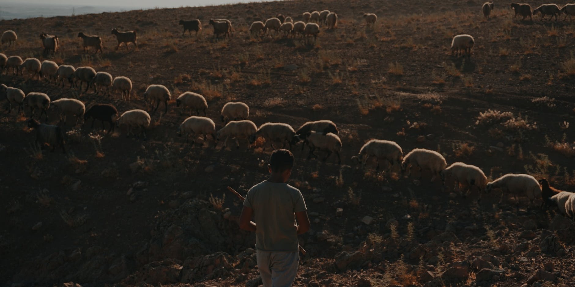 Detailansicht: Elon Musk Mondstadt